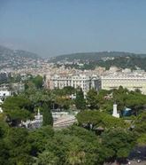 尼斯大学