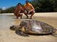 海龟自然保护区（海龟岛）